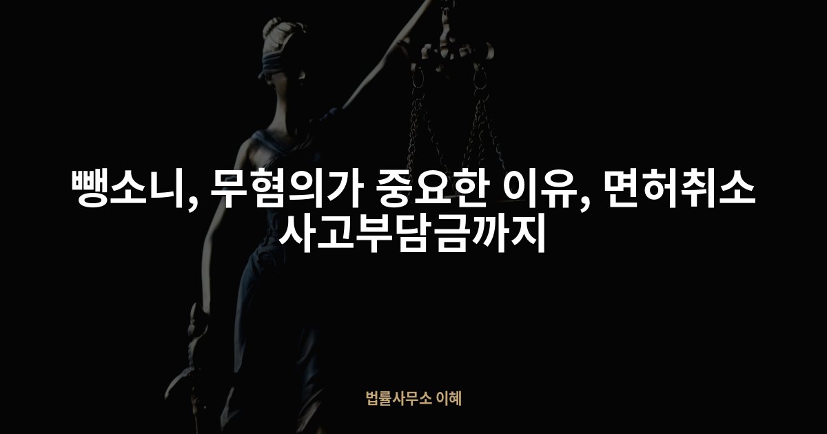 뺑소니, 무혐의가 중요한 이유, 면허취소 사고부담금까지, 법률사무소 이혜 업무사례